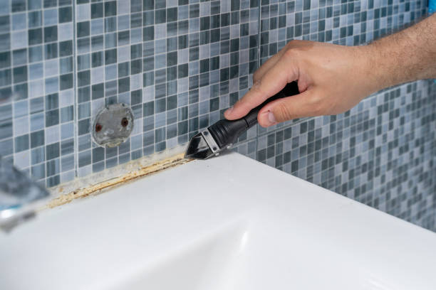 Best Toxic Mold Removal  in Shady Hollow, TX